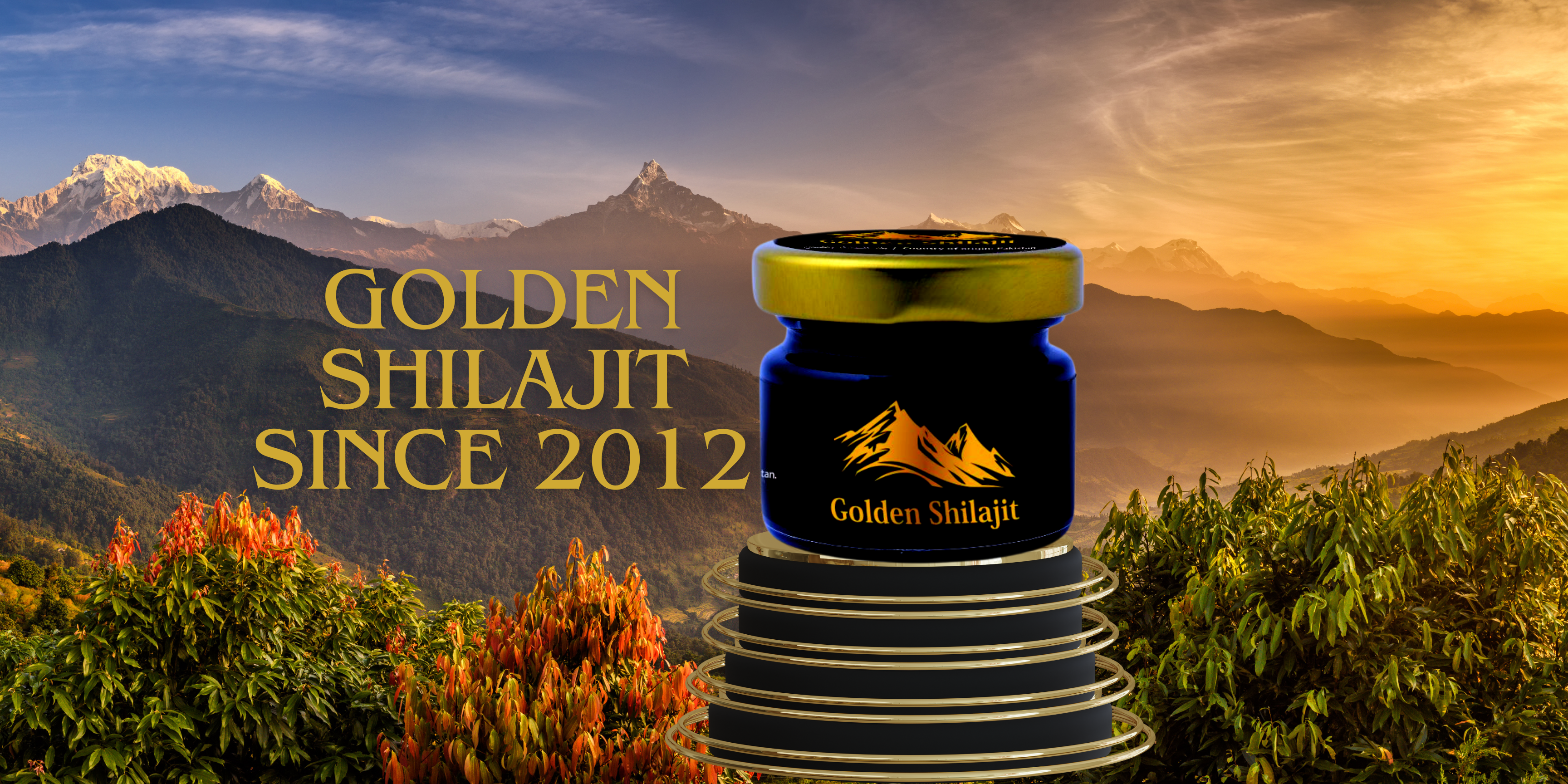 GOLDEN SHILAJIT POWER OF HIMALAYAS