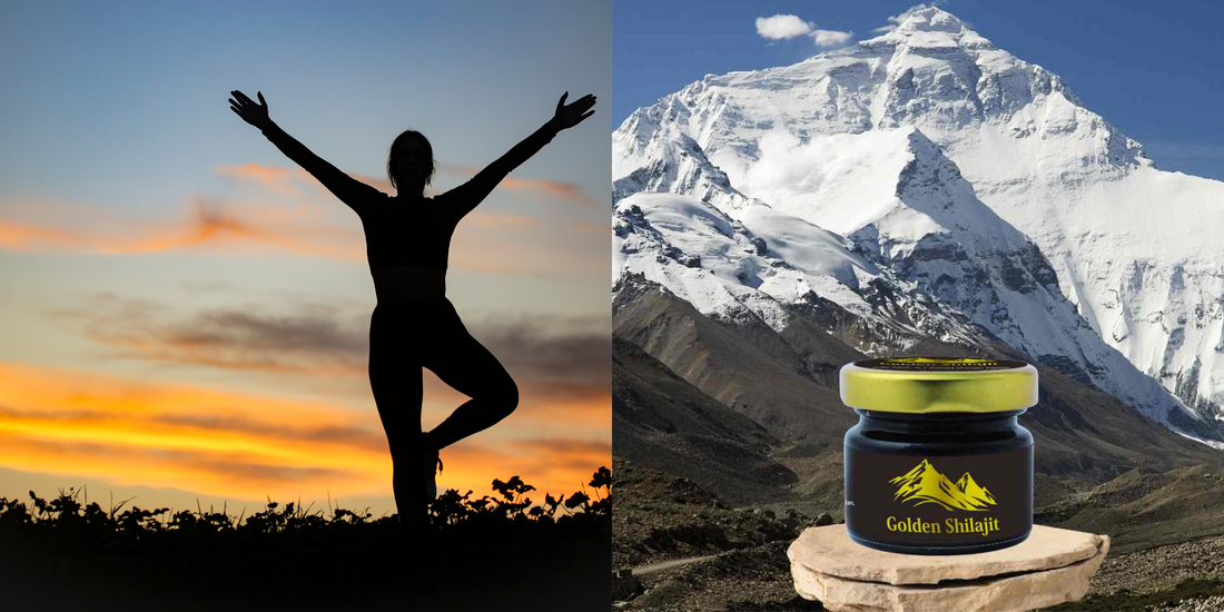 Sexual Vitality: Shilajit for Enhanced Stamina and Energy